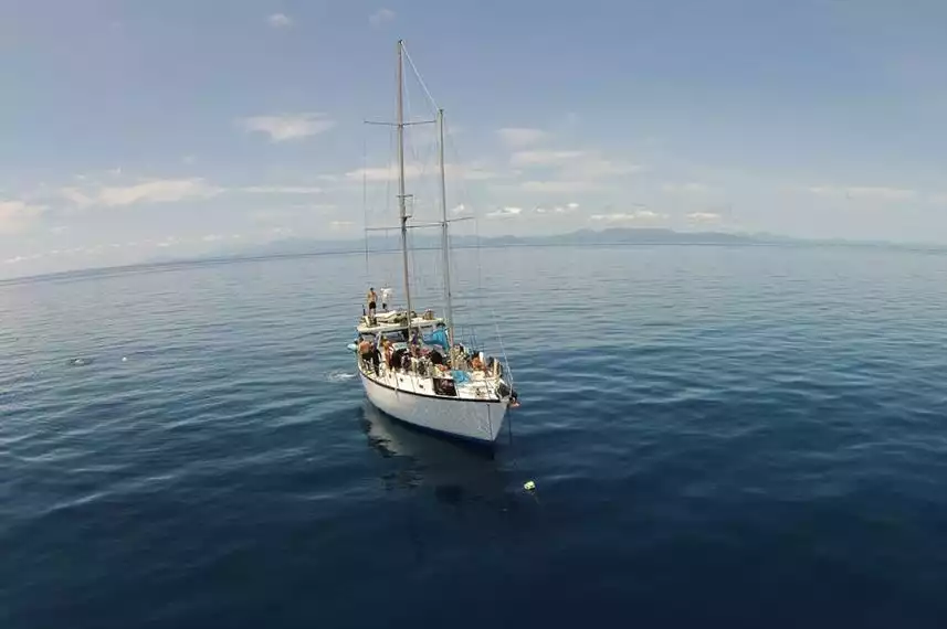 Rum Runner Liveaboard